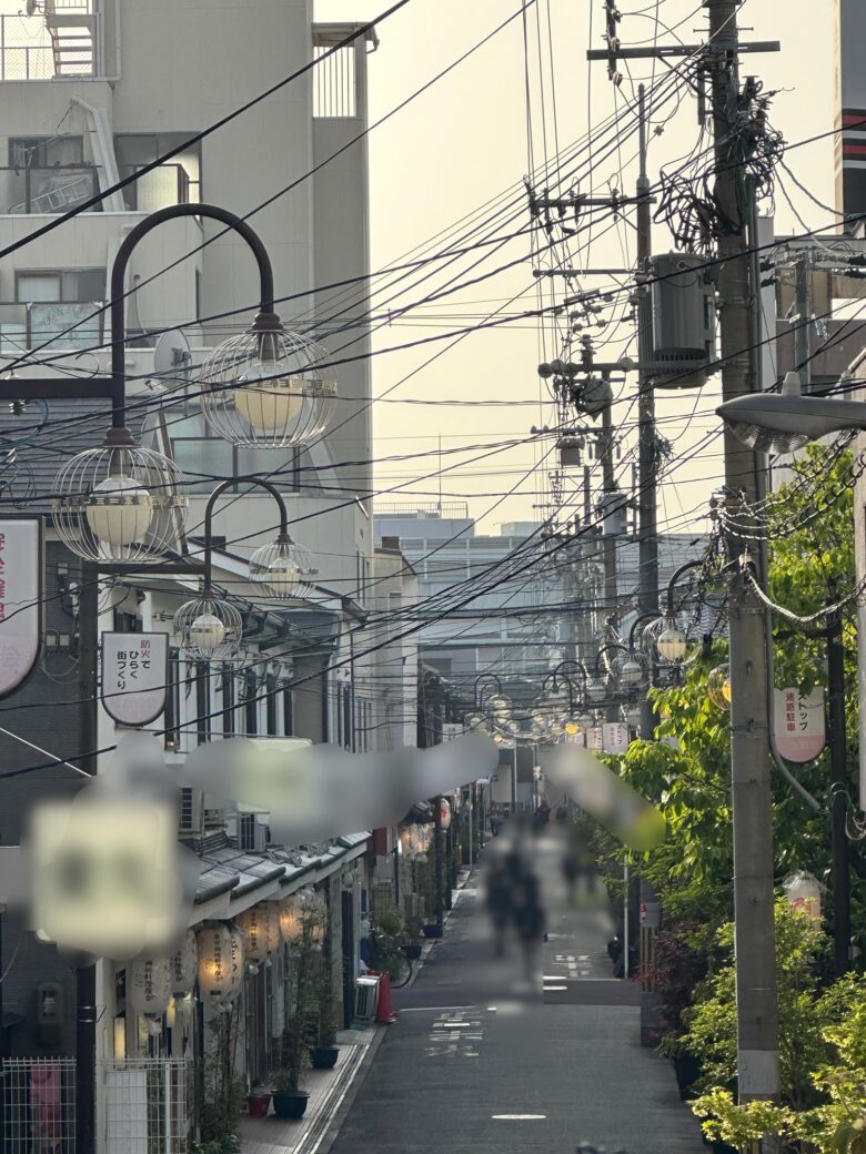 2023年4月20日木曜日18:00ごろの飛田新地、青春通りの風景