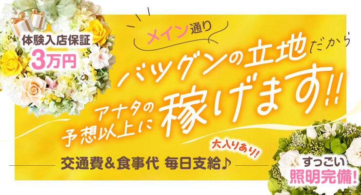 飛田新地メイン通りでバツグン立地だから予想以上に稼げる料亭ルイーズの求人情報
