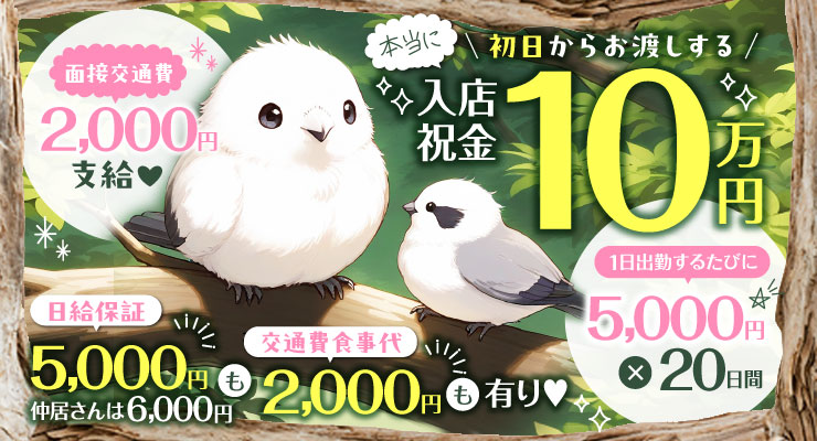 松島新地のメイン通りで入店祝金10万円、料亭れのんの求人募集