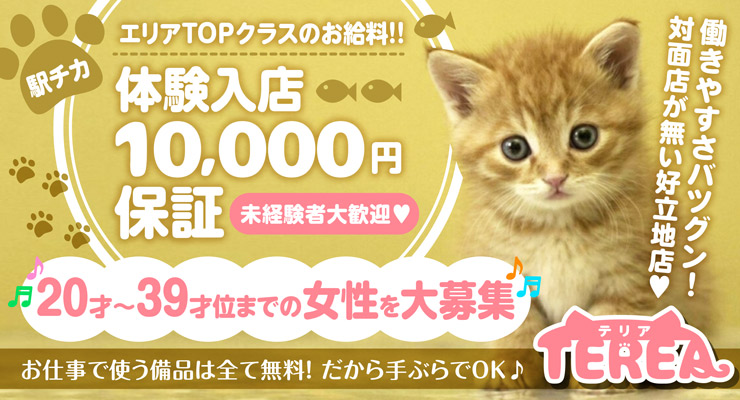 松島新地の料亭「TEREA ～テリア～　」