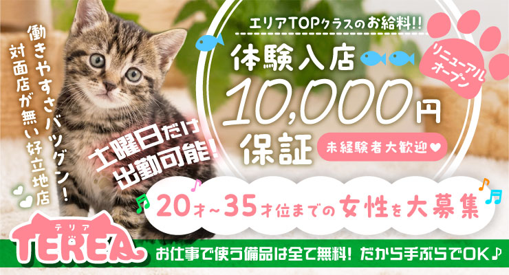 松島新地の駅チカ・郵便局エリアにある料亭TEREA（テリア）の求人募集