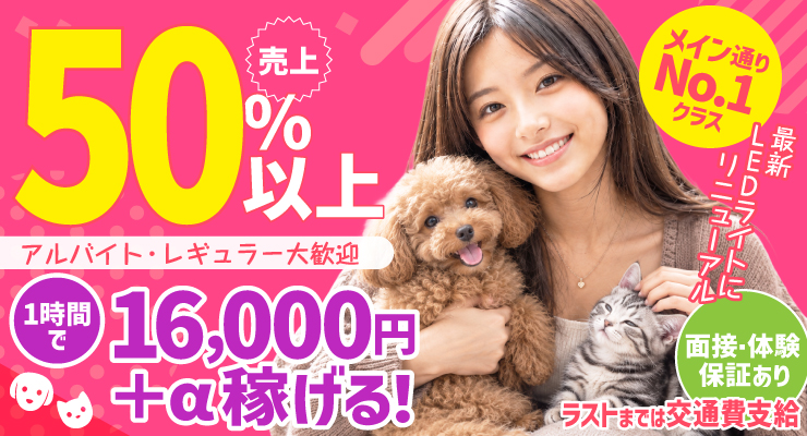 売上の50%以上、2時間で16,000円+α稼げる料亭ホワイトの求人情報