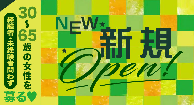 飛田新地のメイン通り（まん中）にある料亭「JUDY」の出稼ぎ求人