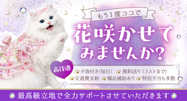 滝井新地の料亭るい猫で花咲かせてみませんか？