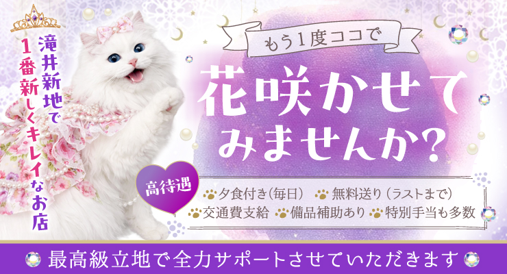 滝井新地の料亭るい猫で花咲かせてみませんか？