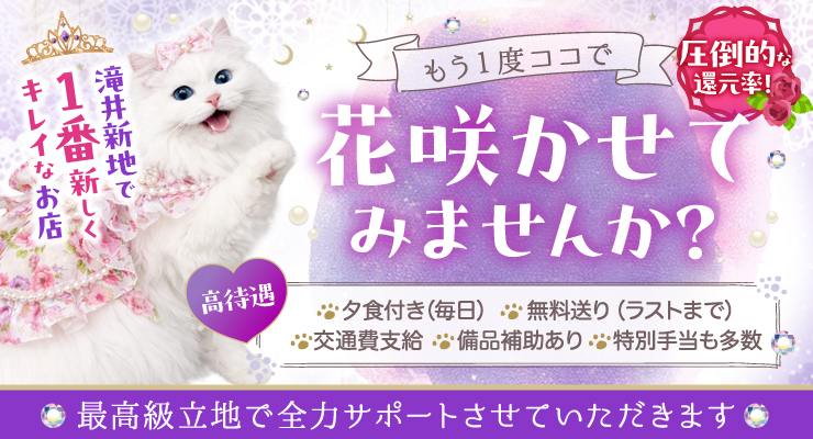滝井新地の料亭るい猫で花咲かせてみませんか？