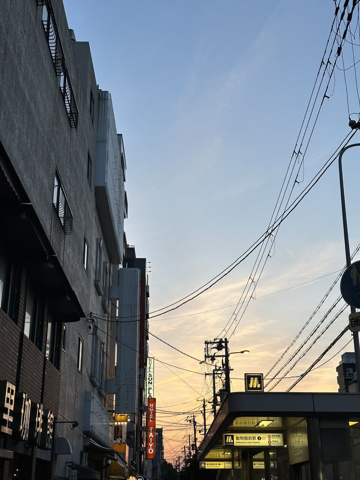 飛田新地の最寄り駅、動物園前2番出口から見た夕焼け
